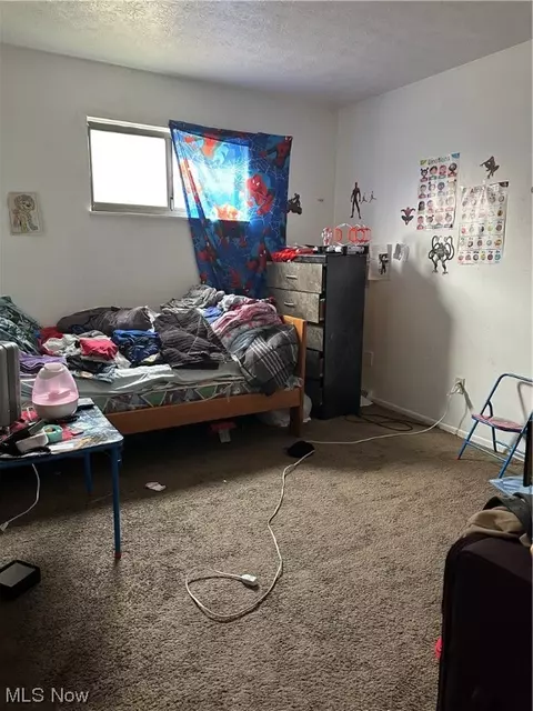 941 E 250th St, Euclid, OH 44132 photo 10
