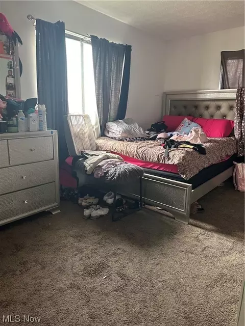 941 E 250th St, Euclid, OH 44132 photo 13