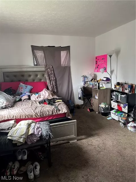 941 E 250th St, Euclid, OH 44132 photo 14