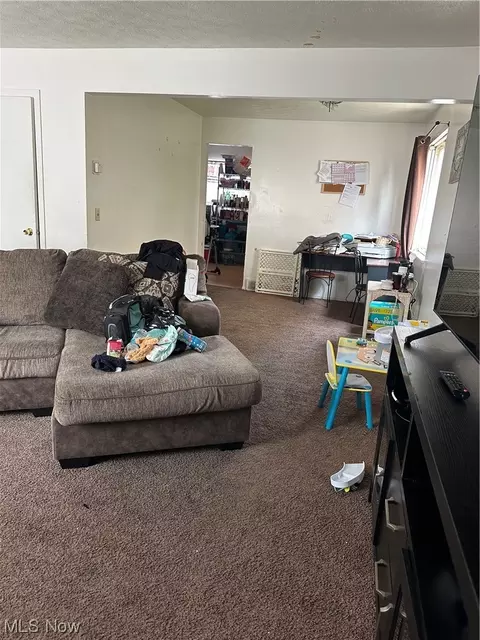 941 E 250th St, Euclid, OH 44132 photo 22