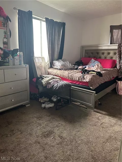941 E 250th St, Euclid, OH 44132 photo 13