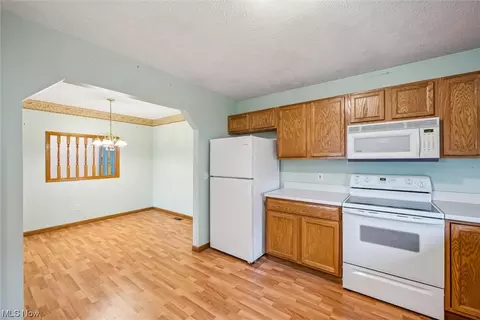 749 Timber Wolf Ln, Lagrange, OH 44050 photo 6
