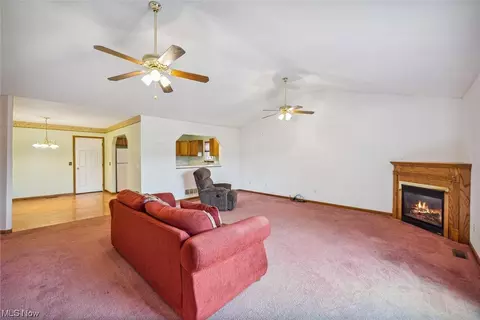 749 Timber Wolf Ln, Lagrange, OH 44050 photo 14