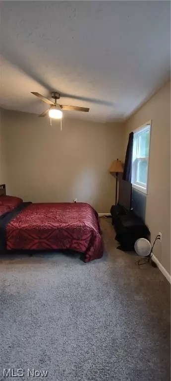 5509 Madison Ave, Ashtabula, OH 44004 photo 17