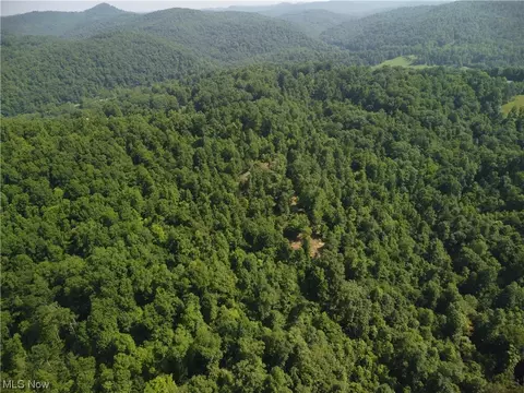 0001 Woodland Dr, Ivydale, WV 25113