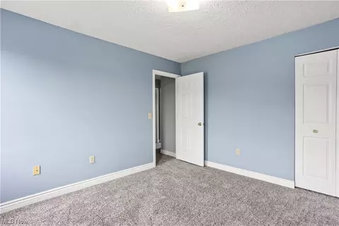 11209 Angling Rd, Wakeman, OH 44889 photo 24