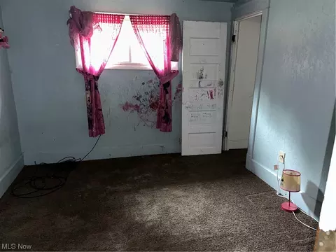 2425 Stocker Ave, Youngstown, OH 44505 photo 8