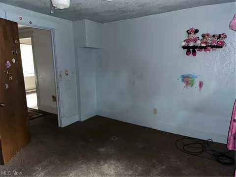2425 Stocker Ave, Youngstown, OH 44505 photo 12