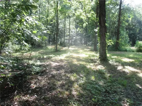 1205 Sheffleton Rd, Deerfield, OH 44411 photo 2