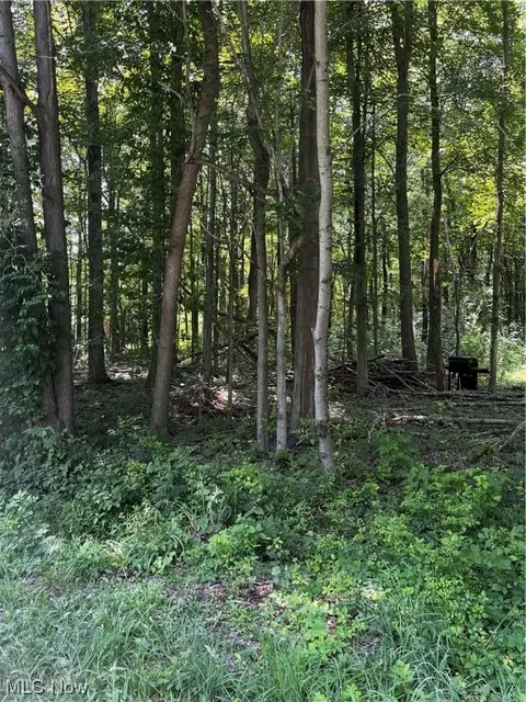 V/l Paine Road, Painesville, OH 44077