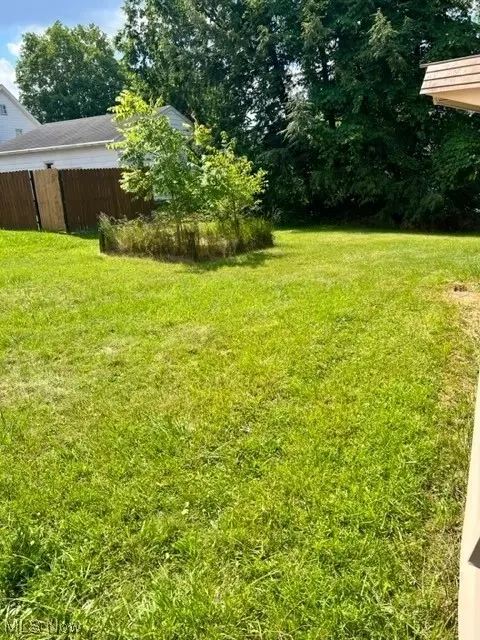 18 W Lewis, Struthers, OH 44471 photo 19