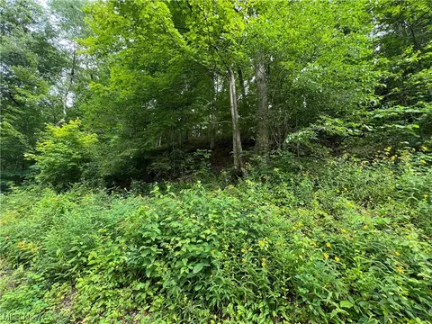 Vl Bald Knob-stiversville Road, Portland, OH 45770