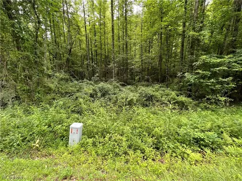 Vl Bald Knob-stiversville Road, Portland, OH 45770
