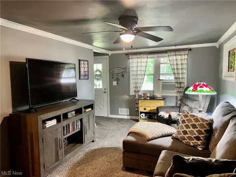564 S Eagle St, Geneva, OH 44041 photo 5