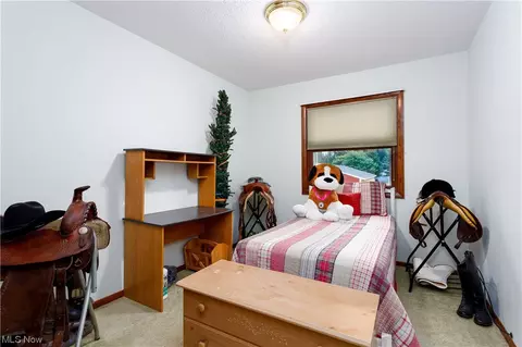5904 State Rd, Wadsworth, OH 44281 photo 16