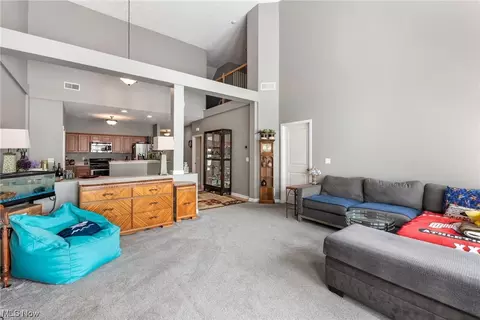 825 Robinson Dr, Lagrange, OH 44050 photo 4
