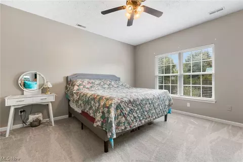 825 Robinson Dr, Lagrange, OH 44050 photo 14