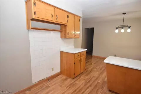 465 Edison Ave, Struthers, OH 44471 photo 7