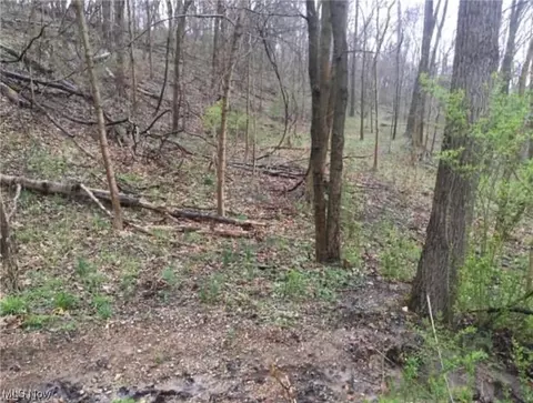 State Route 152, Dillonvale, OH 43917 photo 3