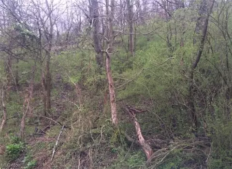 State Route 152, Dillonvale, OH 43917 photo 6