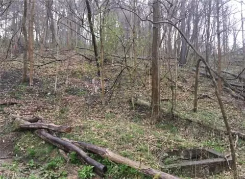 State Route 152, Dillonvale, OH 43917 photo 5