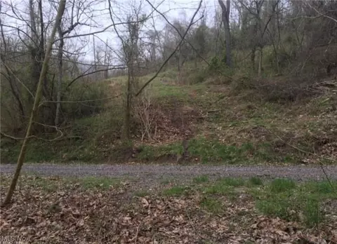 State Route 152, Dillonvale, OH 43917 photo 4