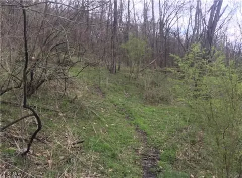 State Route 152, Dillonvale, OH 43917 photo 8