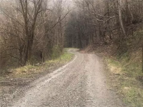 State Route 152, Dillonvale, OH 43917 photo 11
