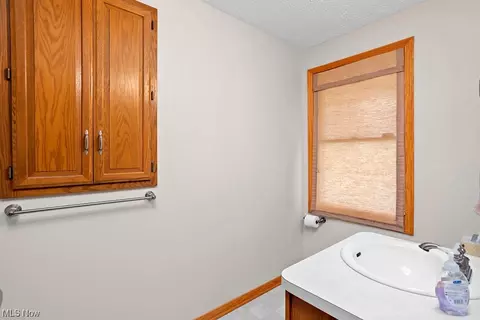 42193 Webster Rd, Lagrange, OH 44050 photo 22