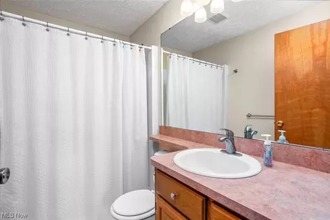 42193 Webster Rd, Lagrange, OH 44050 photo 19