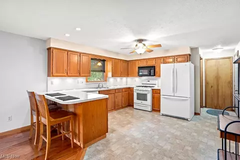 42193 Webster Rd, Lagrange, OH 44050 photo 11