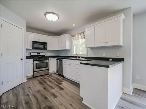 728 Grey Wolfe Dr, Lagrange, OH 44050 photo 10