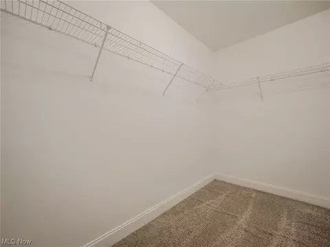 728 Grey Wolfe Dr, Lagrange, OH 44050 photo 23