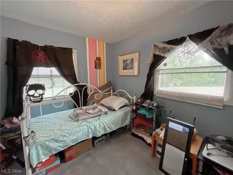 943 State Route 307 E, Jefferson, OH 44047 photo 13