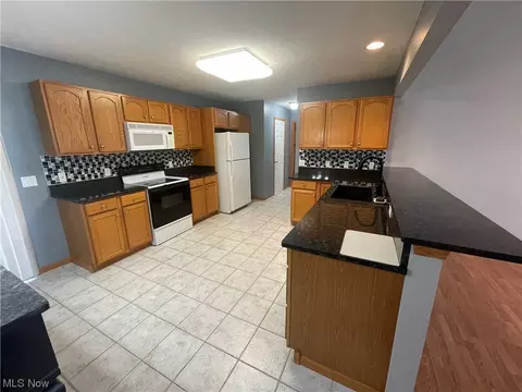1241 Pebble Ct, Willoughby, OH 44094 photo 9