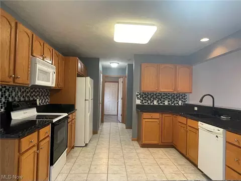 1241 Pebble Ct, Willoughby, OH 44094 photo 12