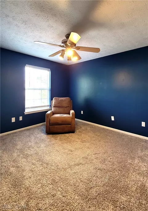 131 Roslyn Ave NW, Canton, OH 44708 photo 17