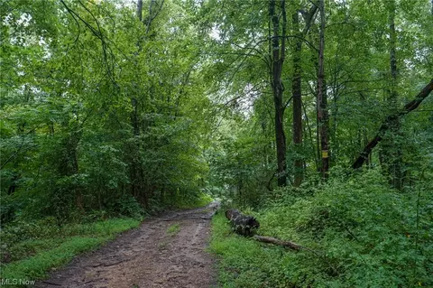 Township Rd 484, New Matamoras, OH 45767