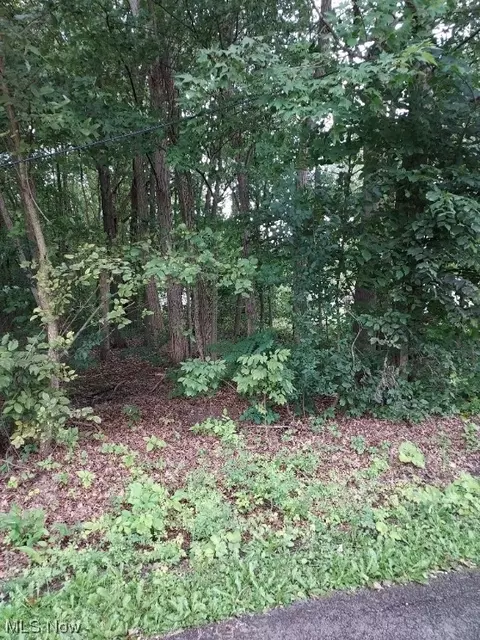 Lundys Lot 1252 Lane, Lake Milton, OH 44429