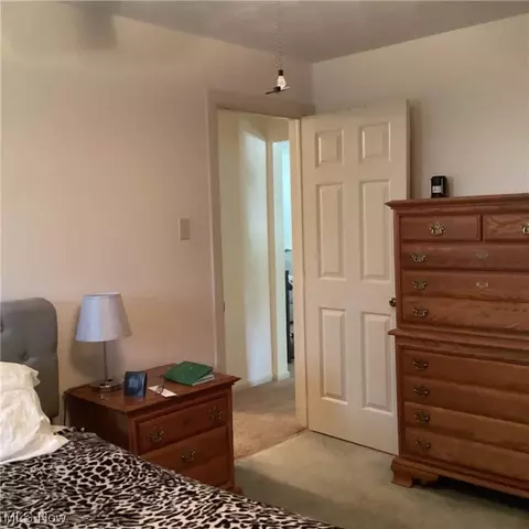 3241 Austinburg Rd, Ashtabula, OH 44004 photo 16