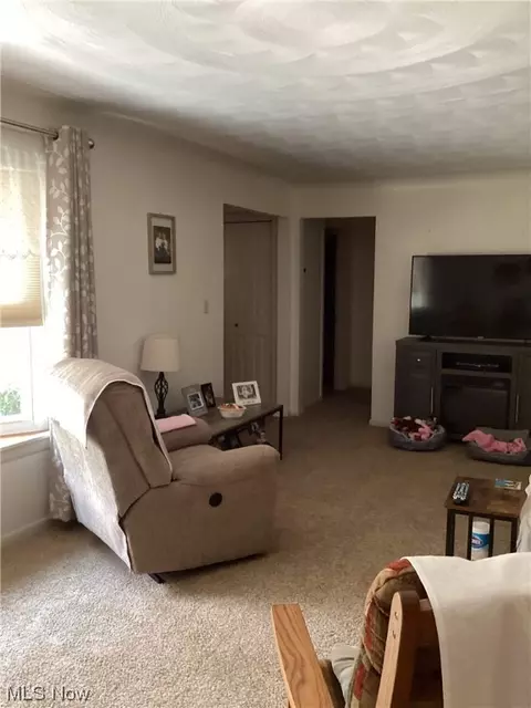 3241 Austinburg Rd, Ashtabula, OH 44004 photo 15