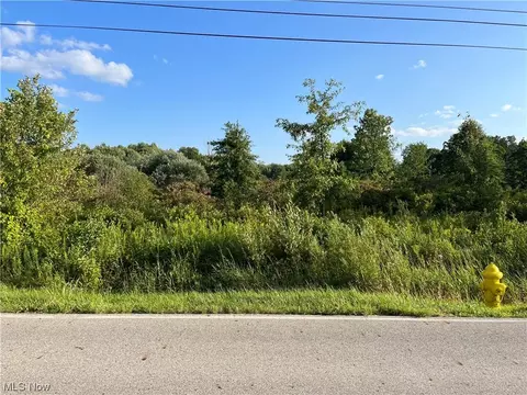 Hewitt Gifford Road, Lordstown, OH 44481