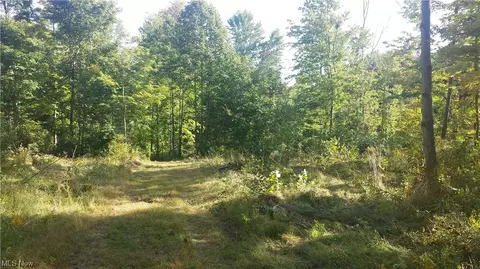 4118 Mennonite Rd, Mantua, OH 44255