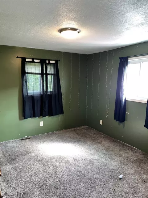 27 4th St, Dillonvale, OH 43917 photo 9