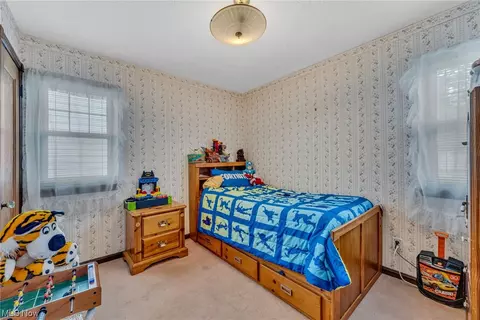 731 E 258th St, Euclid, OH 44132 photo 10