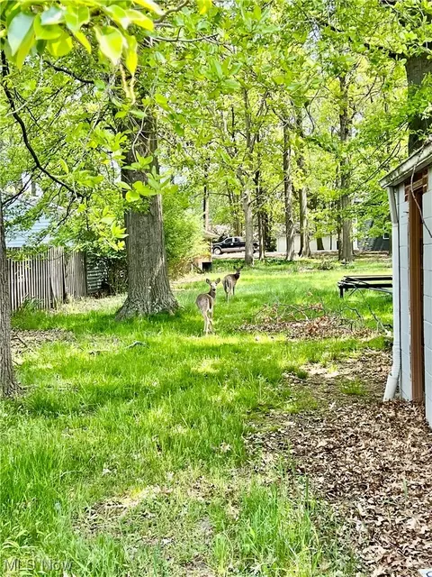 735 E 260th St, Euclid, OH 44132 photo 9
