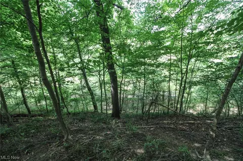 0 State Rd 93, Coshocton, OH 43812 photo 5