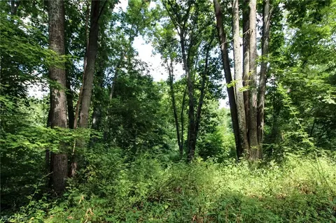 0 State Rd 93, Coshocton, OH 43812 photo 9