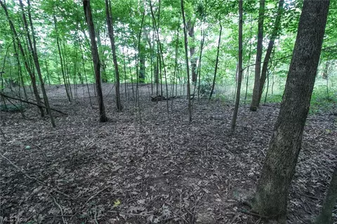 0 State Rd 93, Coshocton, OH 43812