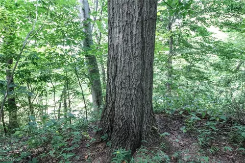 0 State Rd 93, Coshocton, OH 43812 photo 8